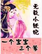 无敌小妖妃:一个宝宝三个爹